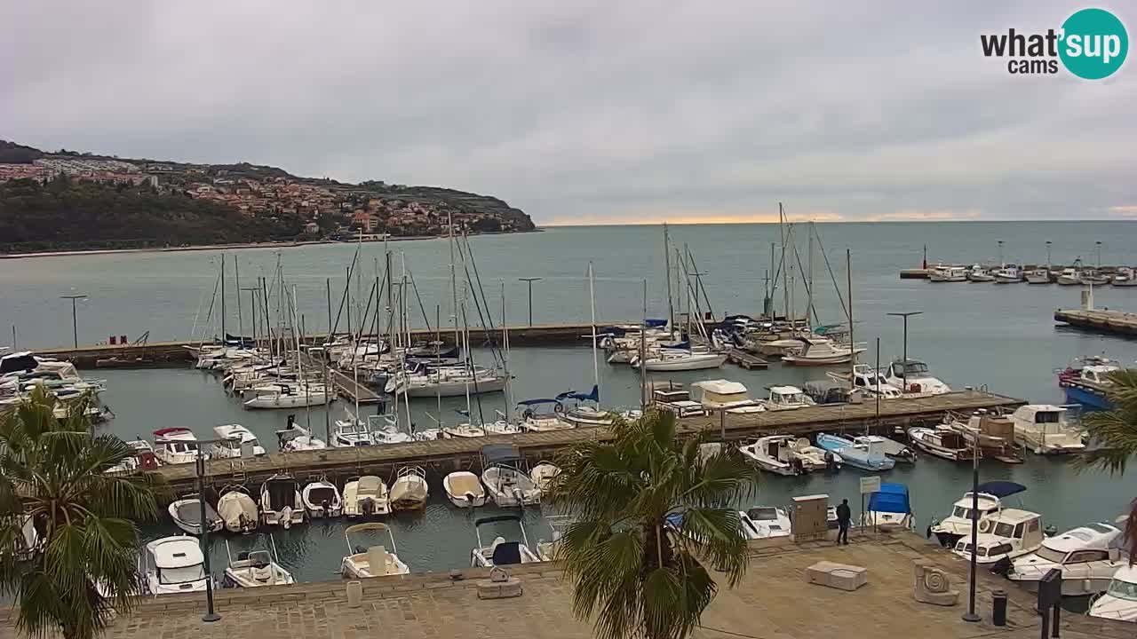 Camera en vivo Koper – puerto deportivo y paseo marítimo desde el Hotel Grand Koper