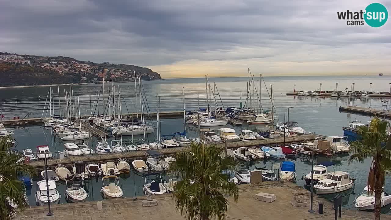 Webcam Koper – Panorama of the marina and promenade from the Grand Hotel Koper