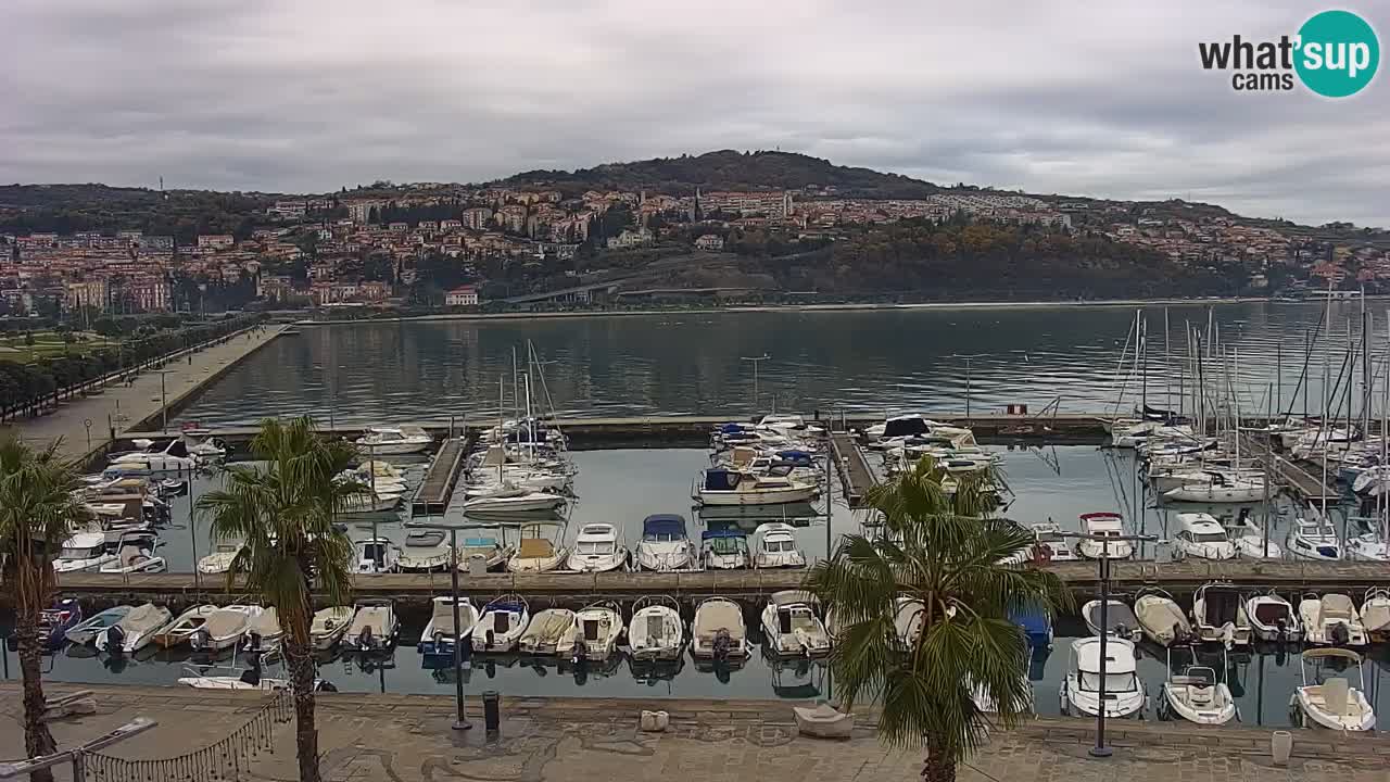 The Port of Koper live webcam – cruise and cargo port – Slovenia