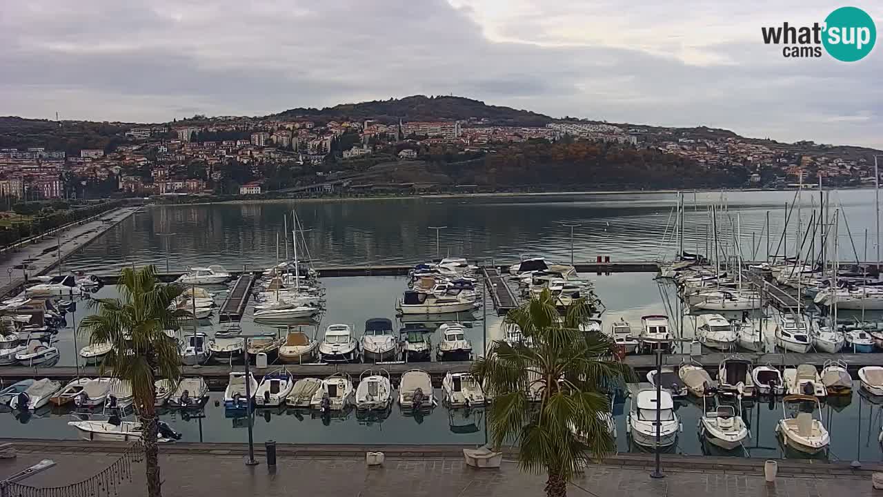Web kamera Koper – marina i promenada – hotel Grand Koper