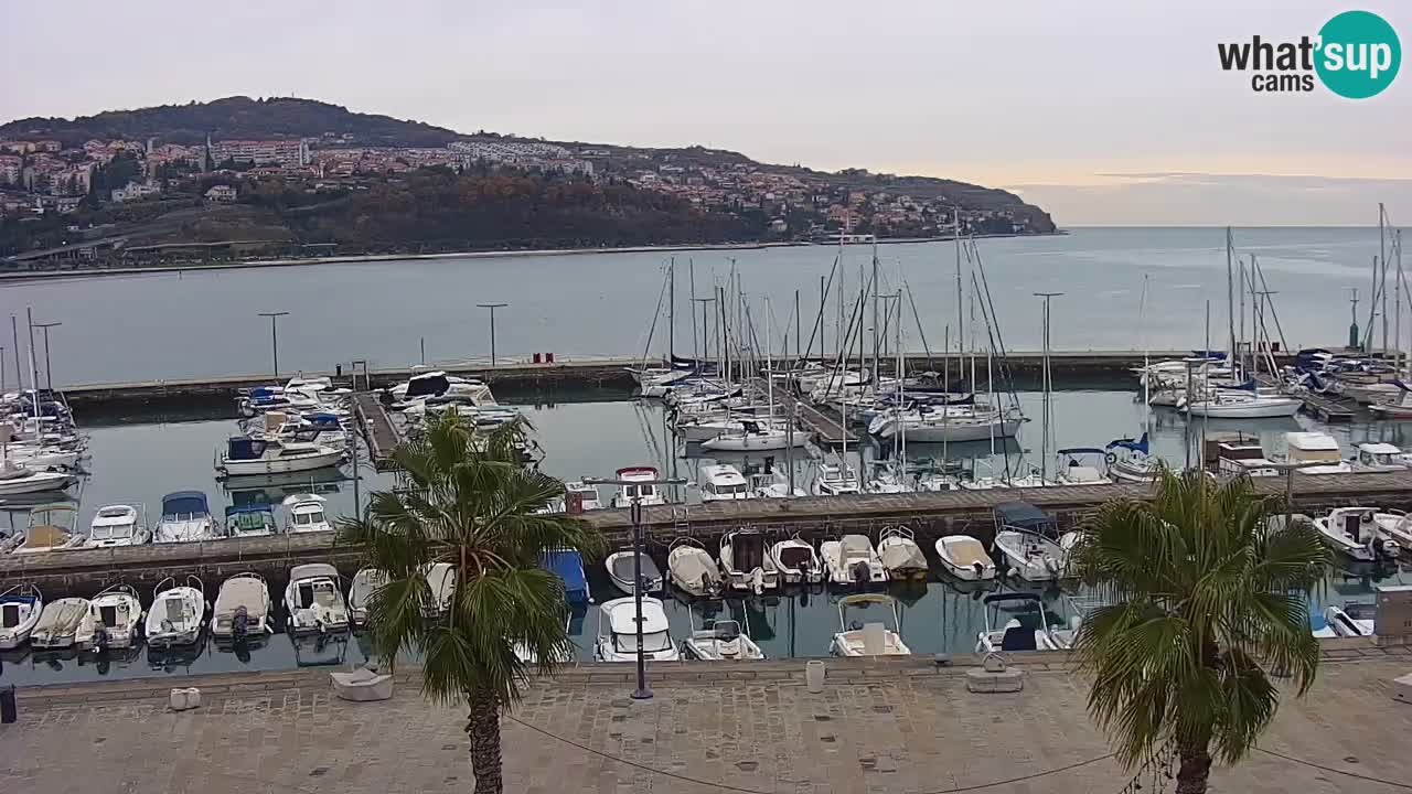 Luka Kopar uživo web kamera – Turistički terminal i teretna luka – Slovenija