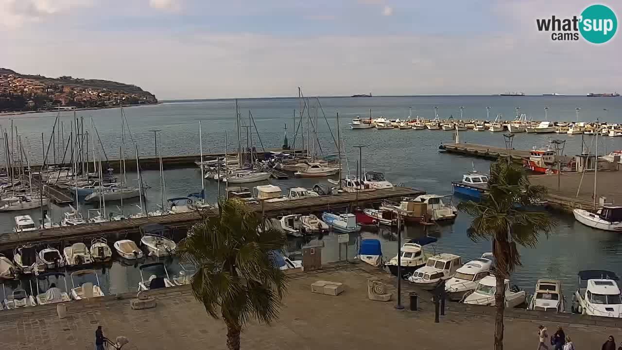Spletna kamera Koper – Panorama na marino in promenado s Hotela Grand Koper