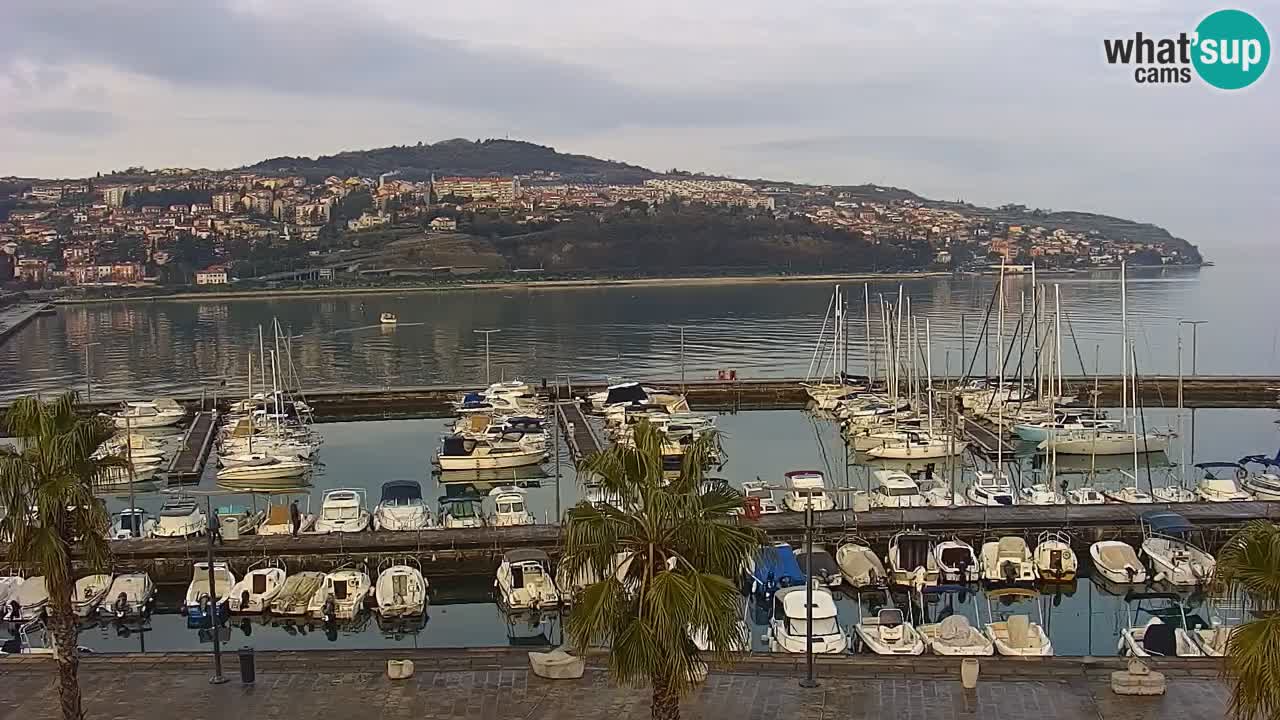 Web kamera Koper – marina i promenada – hotel Grand Koper