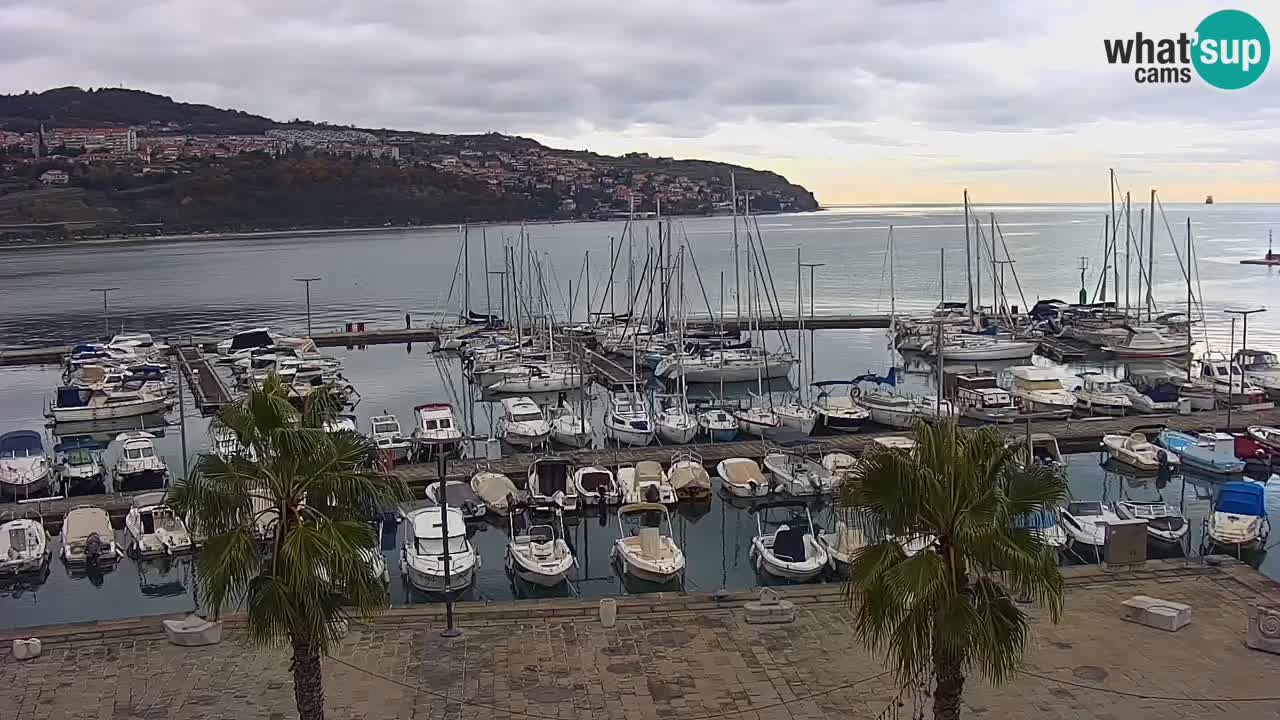 Webcam Koper – Panorama de la marina et de la promenade depuis le Grand Hotel Koper