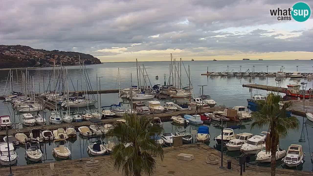Camera en vivo Koper – puerto deportivo y paseo marítimo desde el Hotel Grand Koper