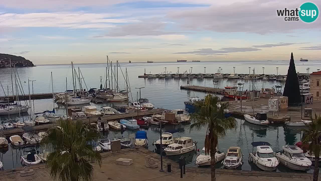 Web kamera Koper – marina i promenada – hotel Grand Koper