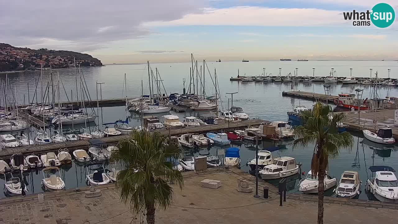 Webcam Koper – Panorama de la marina et de la promenade depuis le Grand Hotel Koper