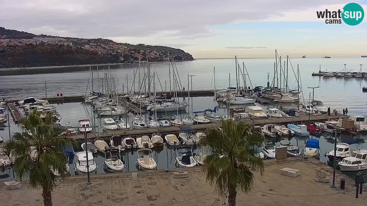 Spletna kamera Koper – Panorama na marino in promenado s Hotela Grand Koper