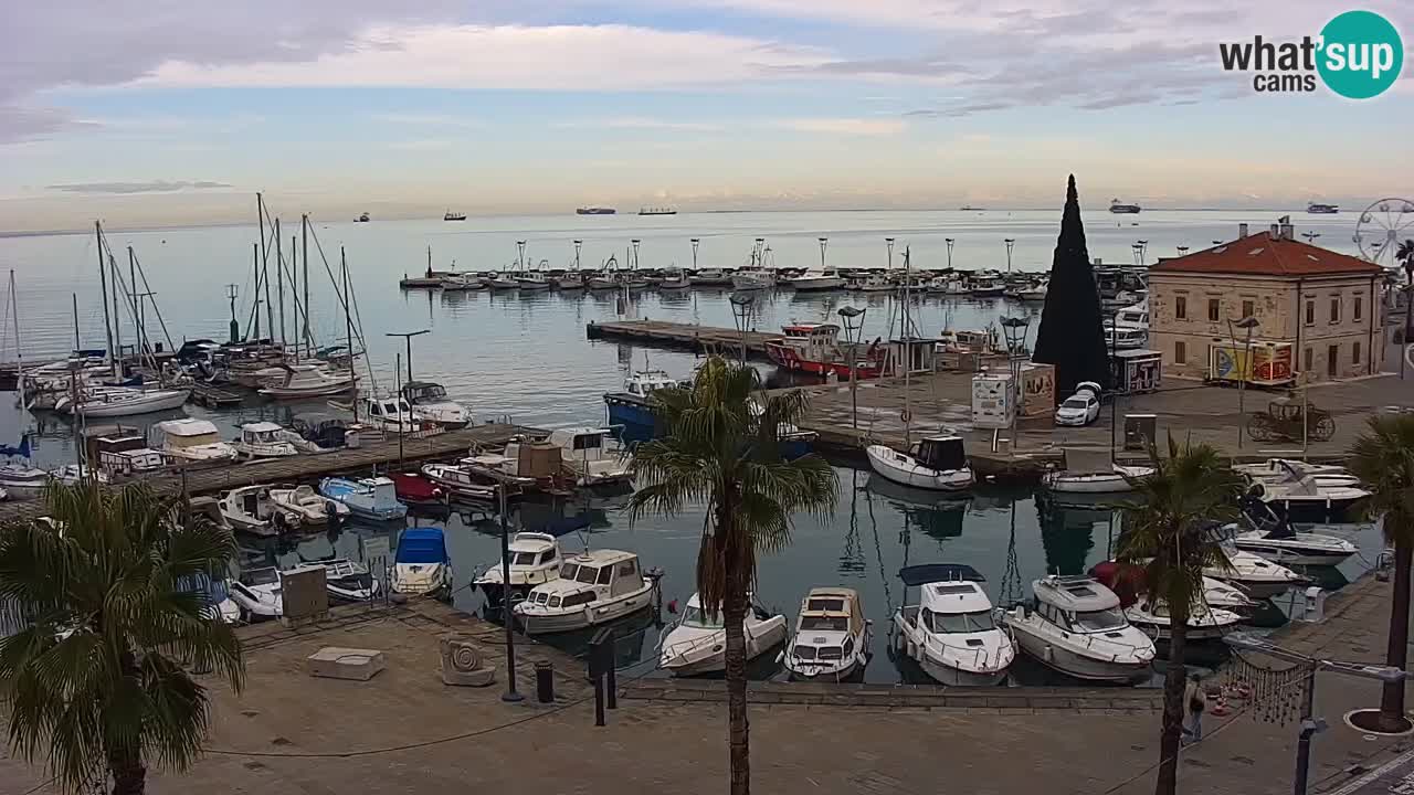 Spletna kamera Koper – Panorama na marino in promenado s Hotela Grand Koper