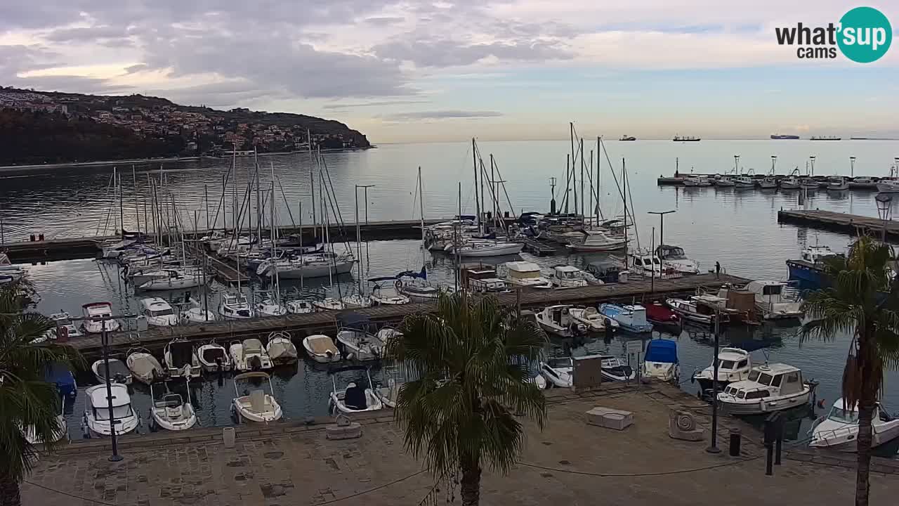 Camera en vivo Koper – puerto deportivo y paseo marítimo desde el Hotel Grand Koper