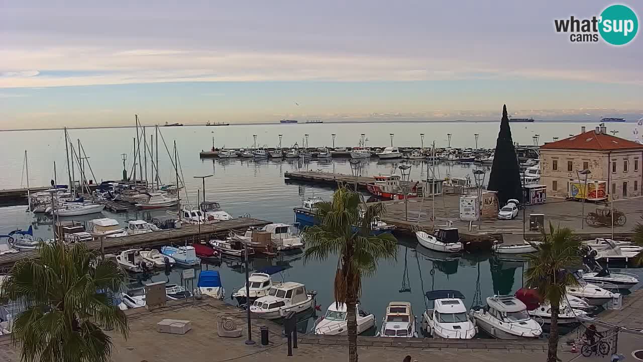 Webcam Koper – Panorama of the marina and promenade from the Grand Hotel Koper