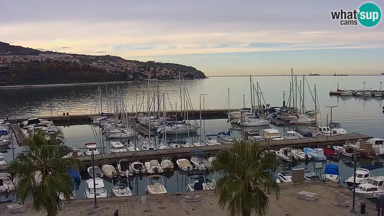 Der Hafen von Koper Live-Webcam – Kreuzfahrt- und Frachthafen – Slowenien
