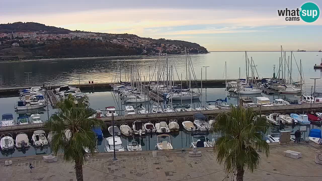 The Port of Koper live webcam – cruise and cargo port – Slovenia