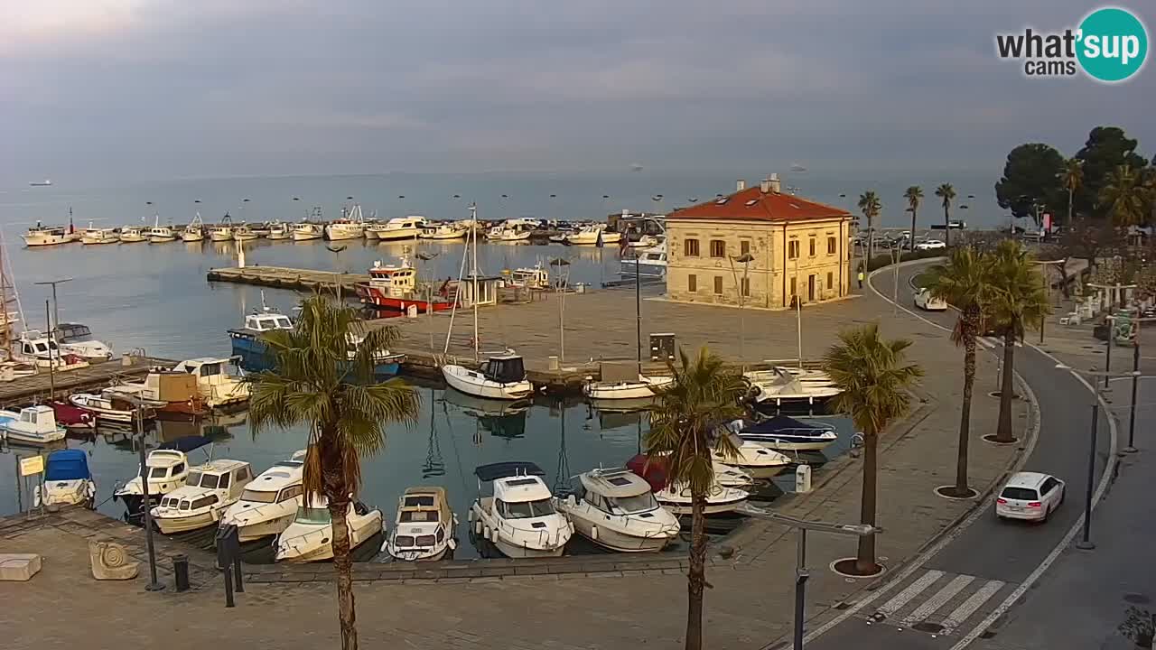 Spletna kamera Koper – Panorama na marino in promenado s Hotela Grand Koper