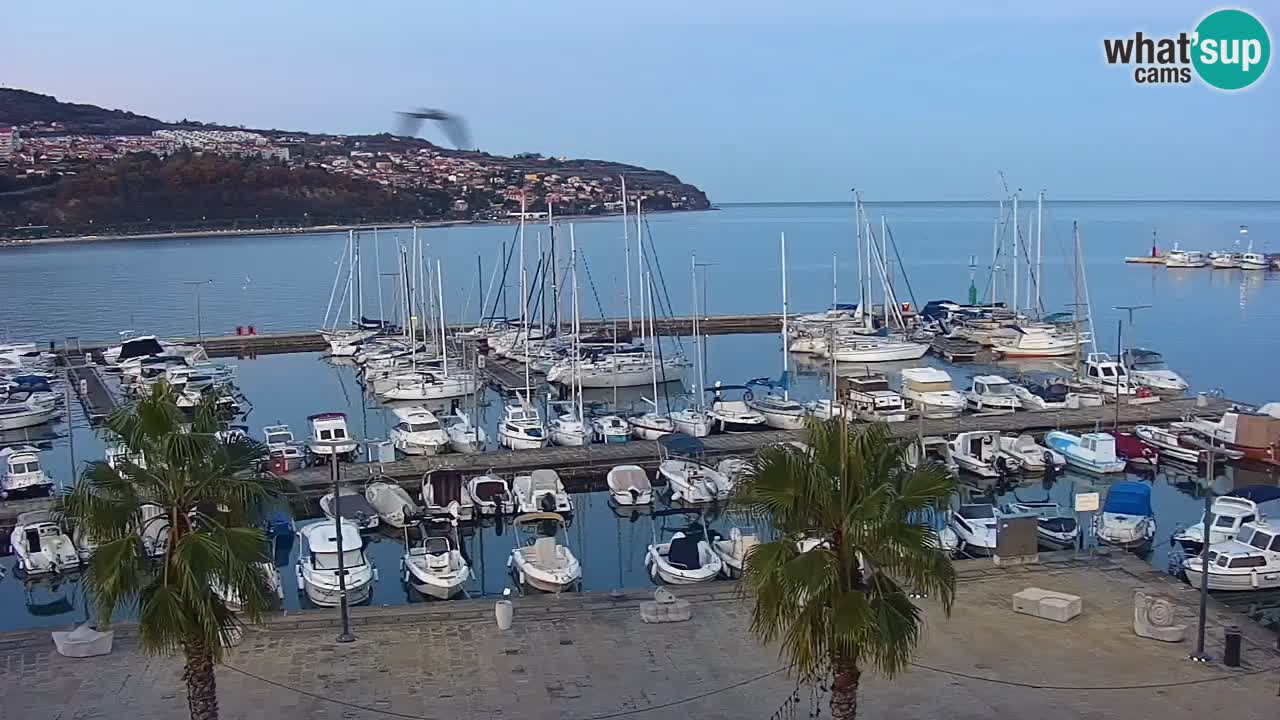 Camera en vivo Koper – puerto deportivo y paseo marítimo desde el Hotel Grand Koper