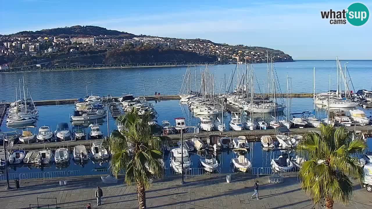 Camera en vivo Koper – puerto deportivo y paseo marítimo desde el Hotel Grand Koper