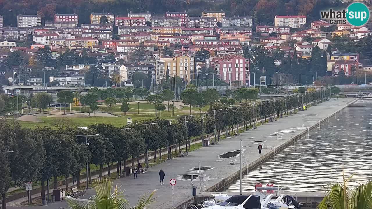 Web kamera Koper – marina i promenada – hotel Grand Koper