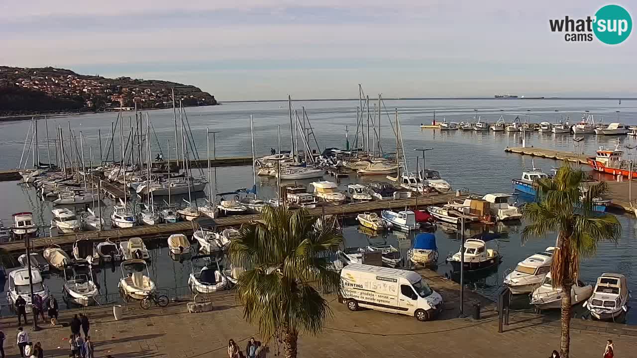 Spletna kamera Koper – Panorama na marino in promenado s Hotela Grand Koper