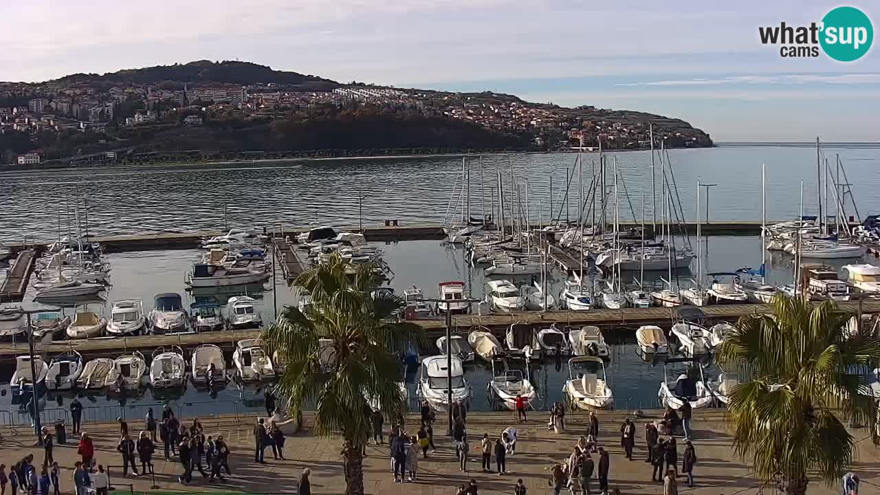 Camera en vivo Koper – puerto deportivo y paseo marítimo desde el Hotel Grand Koper