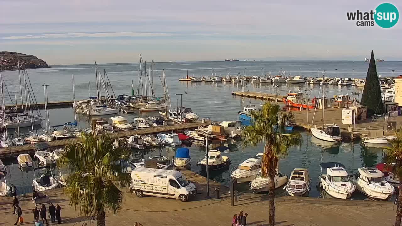 Spletna kamera Koper – Panorama na marino in promenado s Hotela Grand Koper