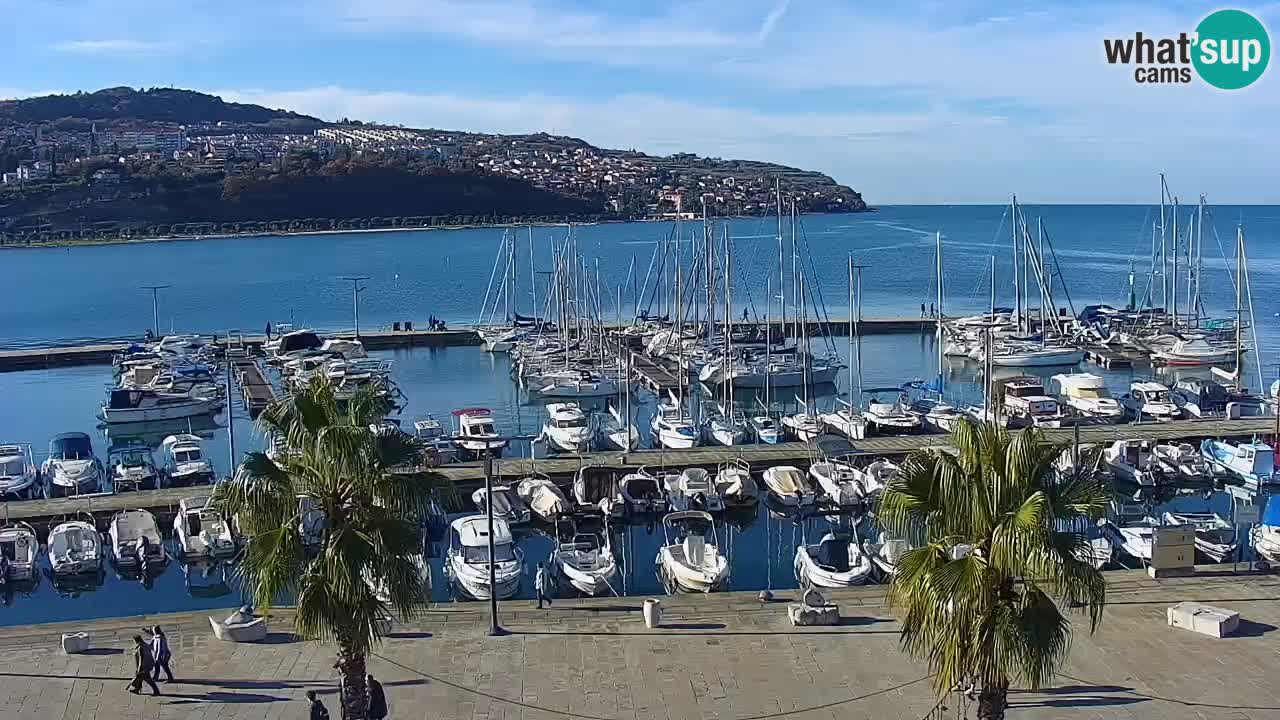 Camera en vivo Koper – puerto deportivo y paseo marítimo desde el Hotel Grand Koper