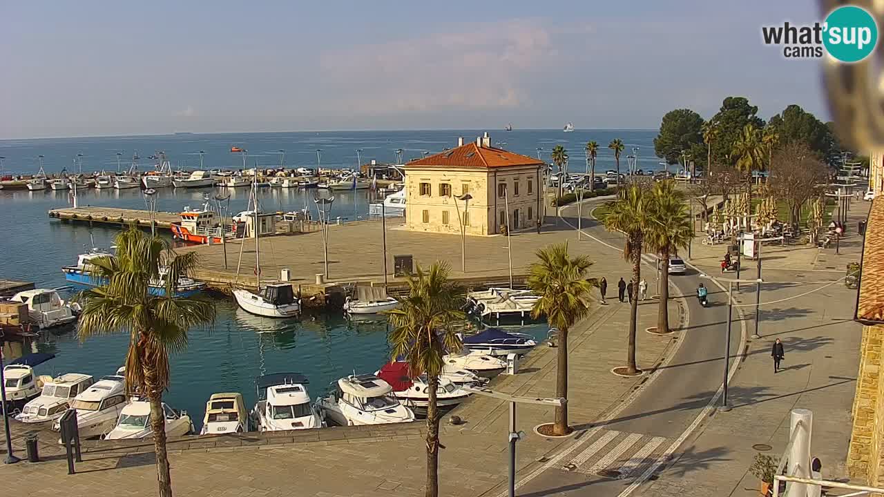 Spletna kamera Koper – Panorama na marino in promenado s Hotela Grand Koper
