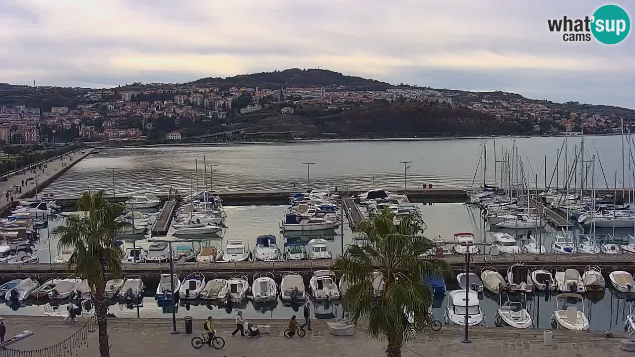 Web kamera Koper – marina i promenada – hotel Grand Koper