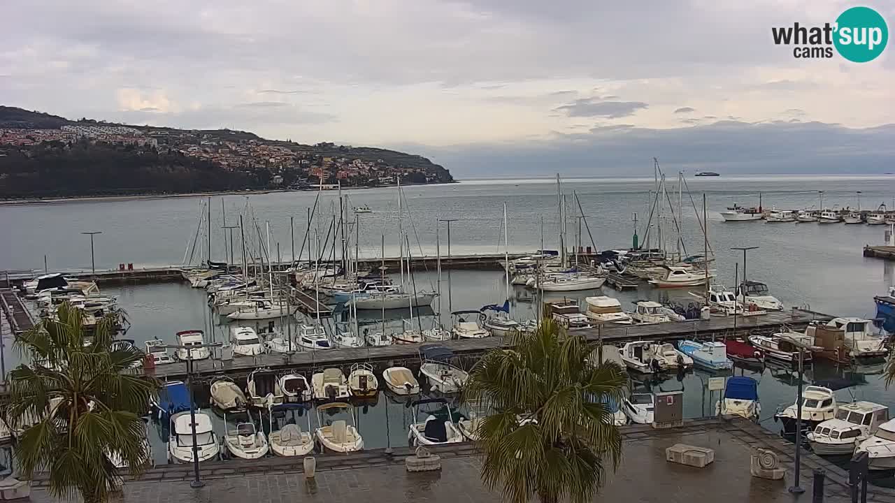 Webcam Koper – Panorama of the marina and promenade from the Grand Hotel Koper