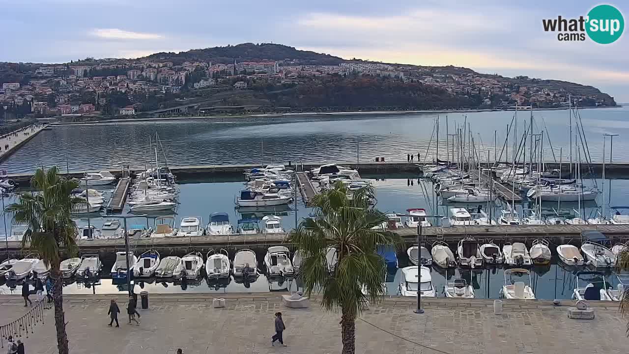Web kamera Koper – marina i promenada – hotel Grand Koper