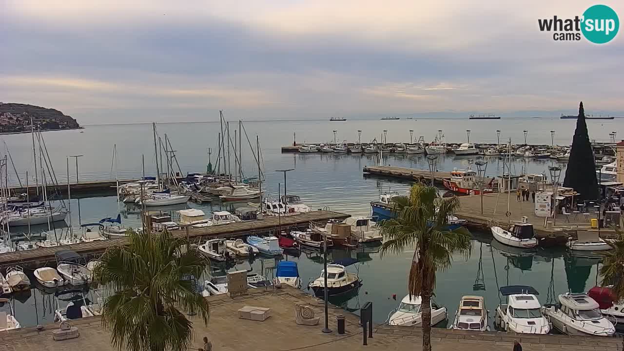 Camera en vivo Koper – puerto deportivo y paseo marítimo desde el Hotel Grand Koper