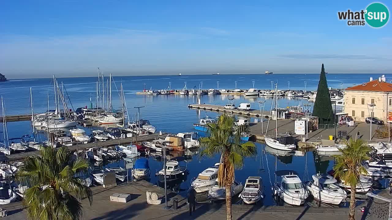 Camera en vivo Koper – puerto deportivo y paseo marítimo desde el Hotel Grand Koper