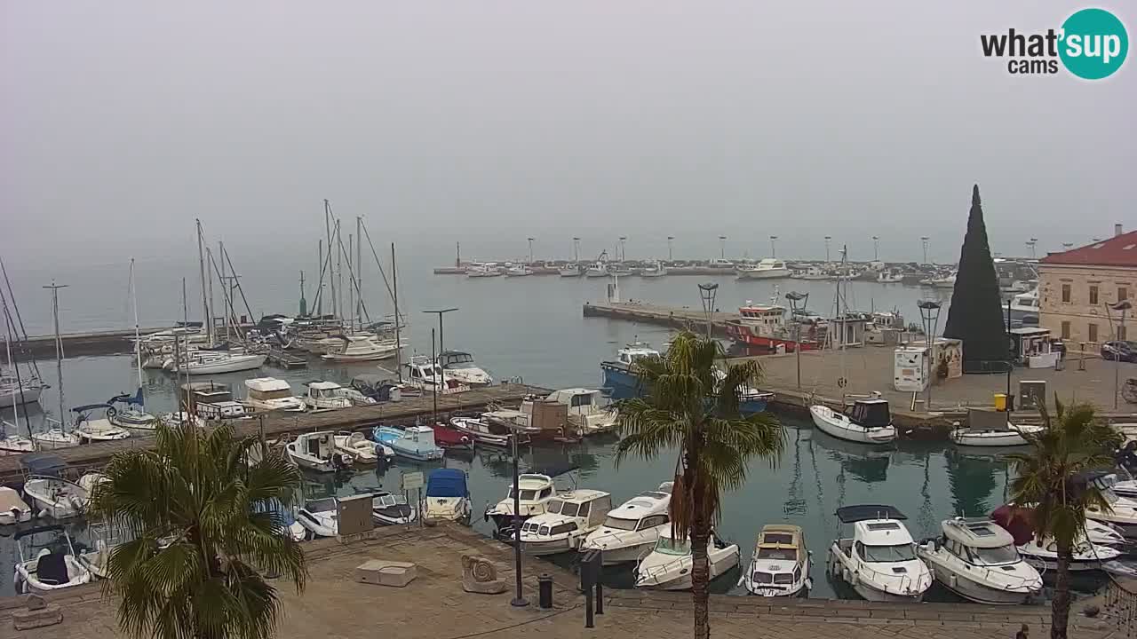 The Port of Koper live webcam – cruise and cargo port – Slovenia