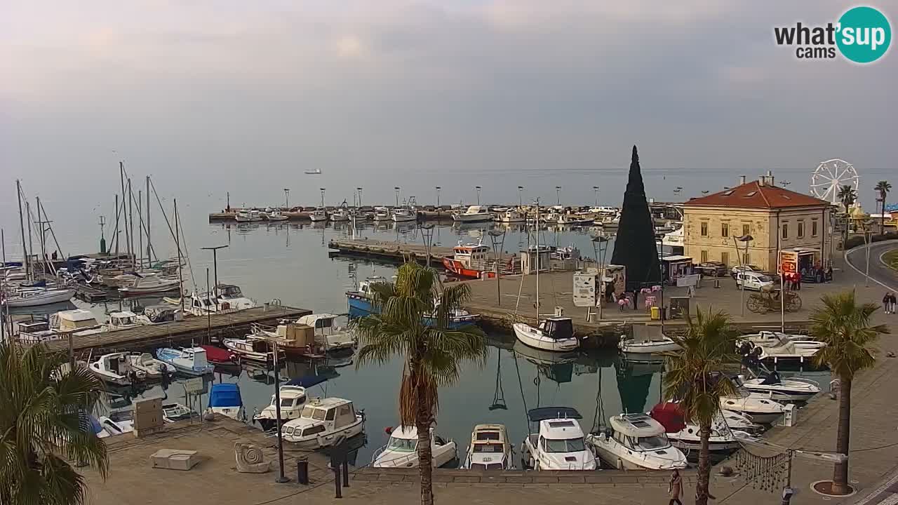 Spletna kamera Koper – Panorama na marino in promenado s Hotela Grand Koper