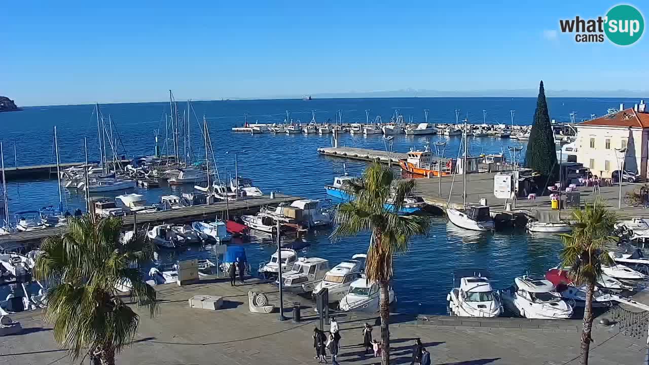 Webcam Koper – Panorama de la marina et de la promenade depuis le Grand Hotel Koper