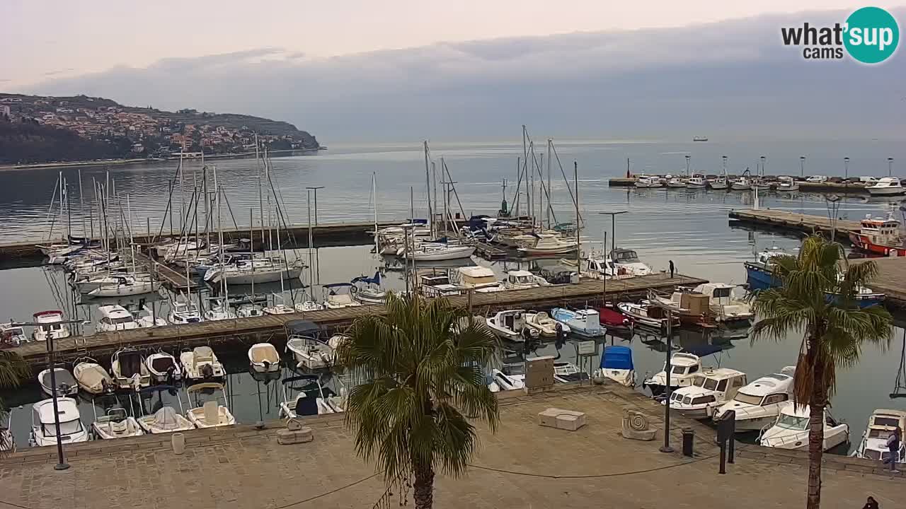 Webcam Koper – Panorama of the marina and promenade from the Grand Hotel Koper