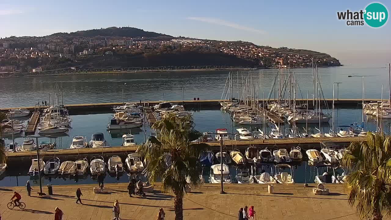 Spletna kamera Koper – Panorama na marino in promenado s Hotela Grand Koper