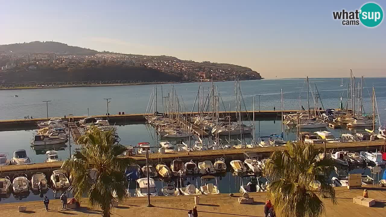 Webcam en direct du port de Koper – port de croisière et de fret – Slovénie