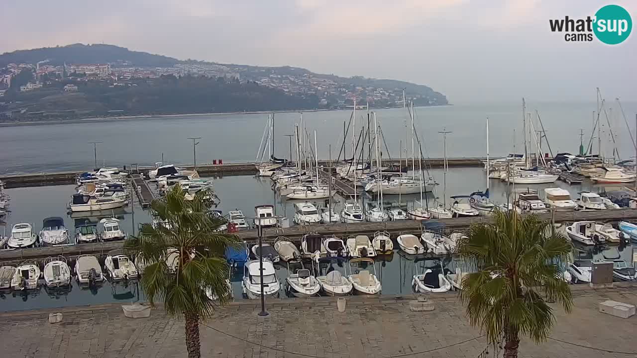 Web kamera Koper – marina i promenada – hotel Grand Koper