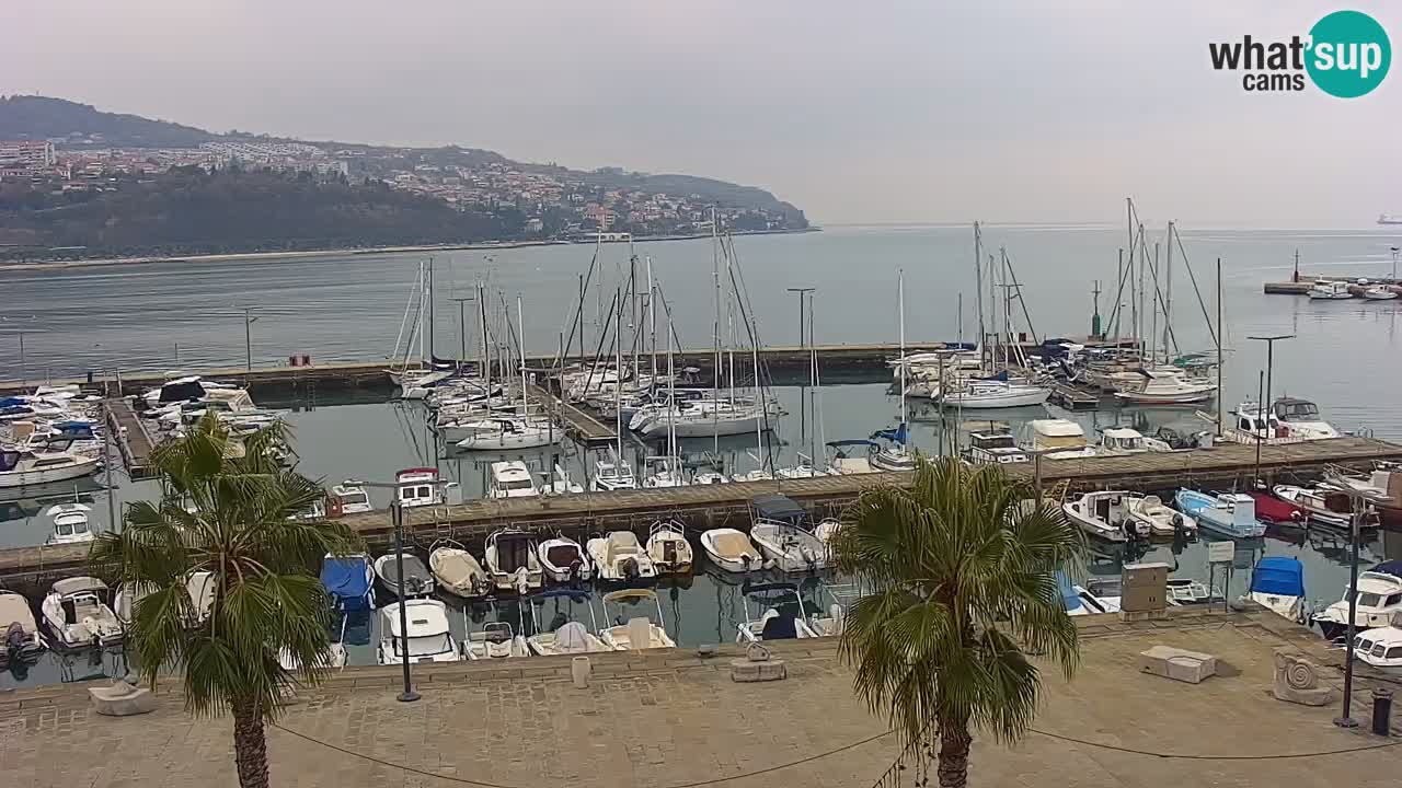 Webcam Koper – Panorama of the marina and promenade from the Grand Hotel Koper