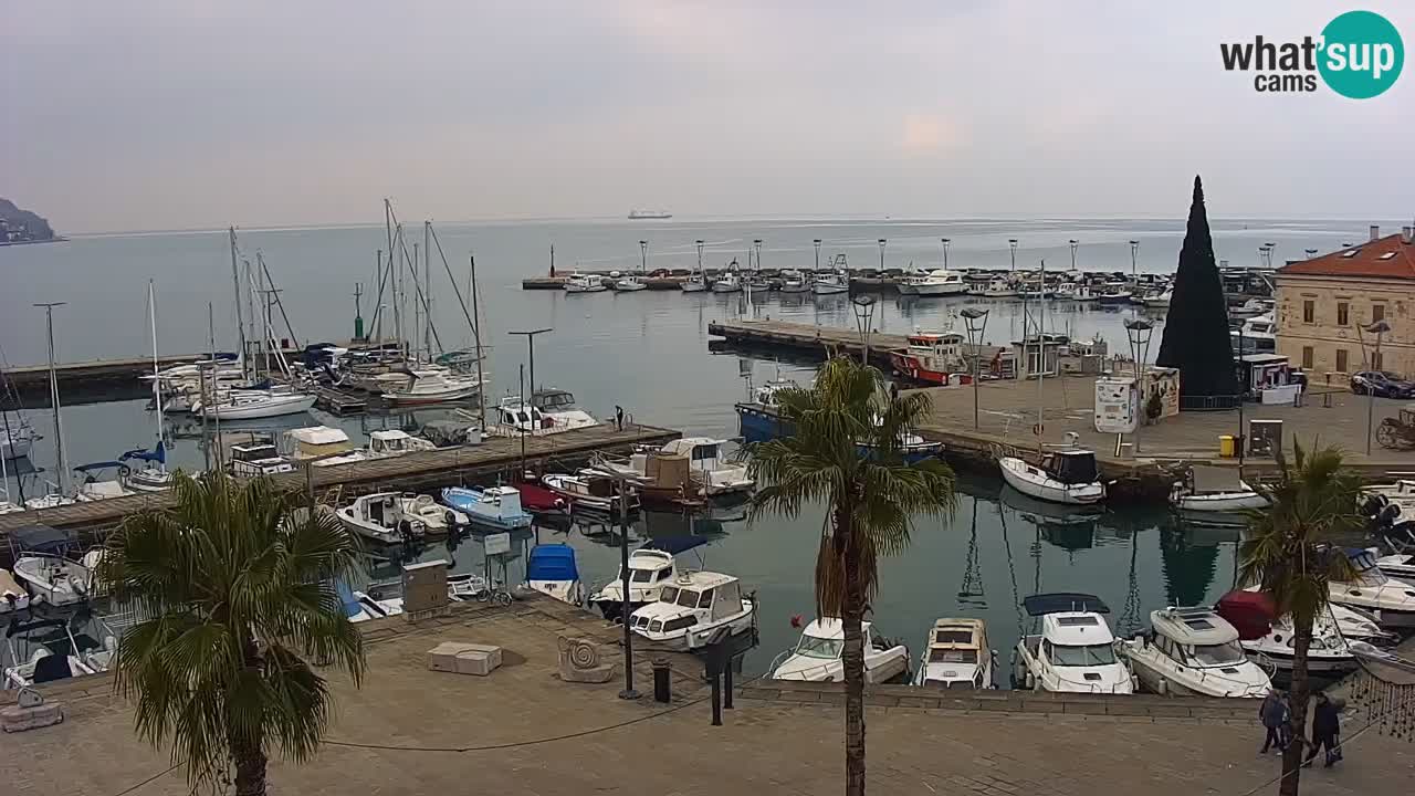 Webcam Koper – Panorama of the marina and promenade from the Grand Hotel Koper