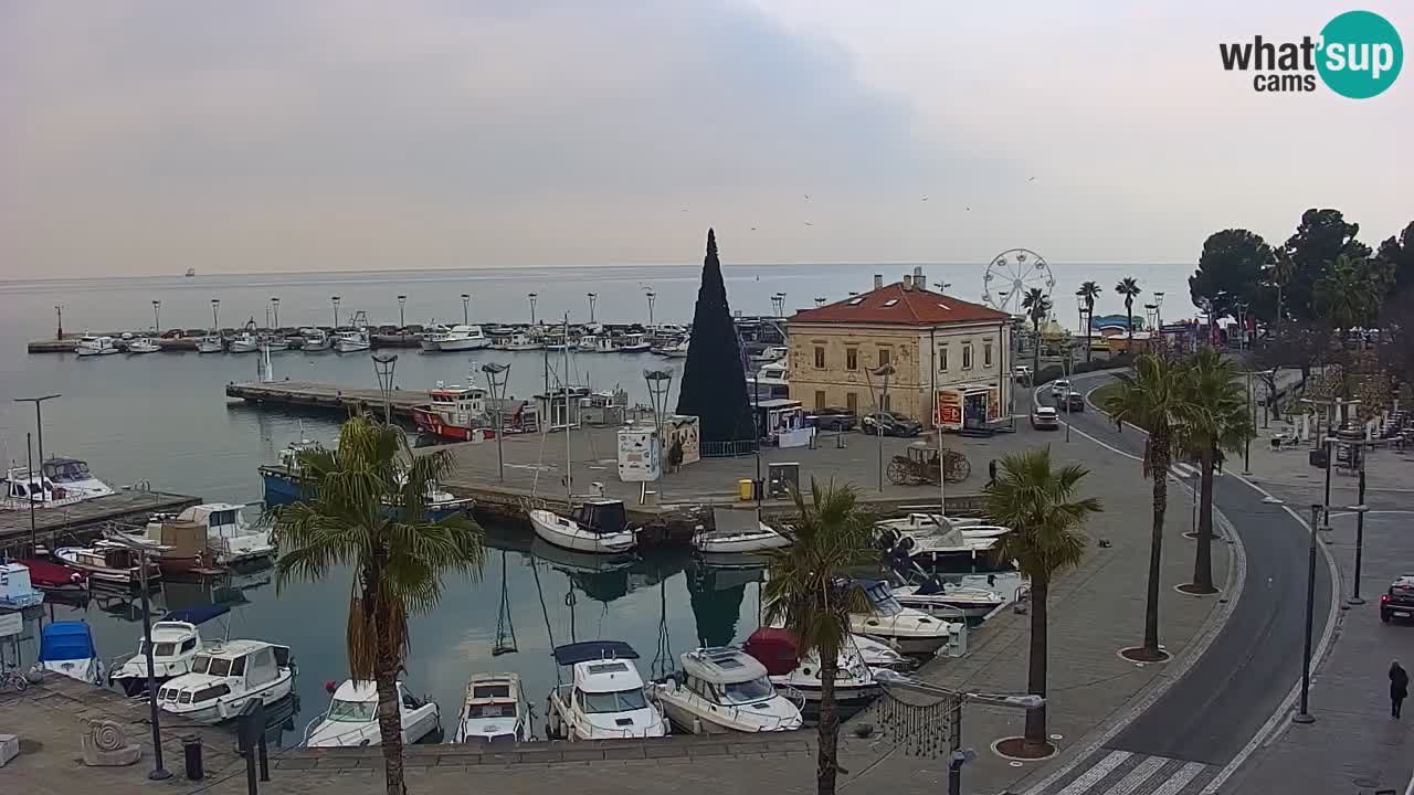 Il porto di Koper – Capodistria live webcam – porto crociere e mercantile – Slovenia