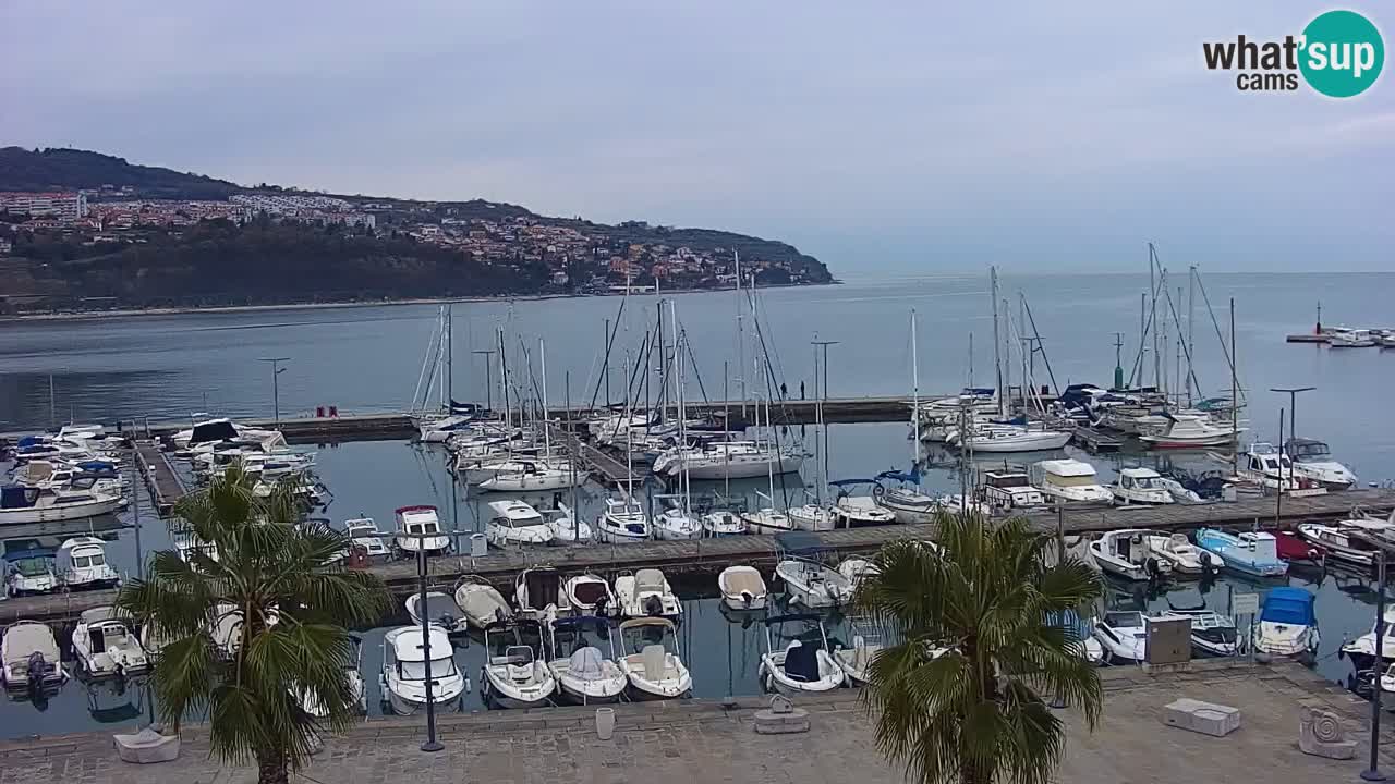 Camera en vivo Koper – puerto deportivo y paseo marítimo desde el Hotel Grand Koper