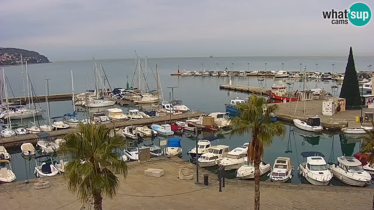 Camera en vivo Koper – puerto deportivo y paseo marítimo desde el Hotel Grand Koper