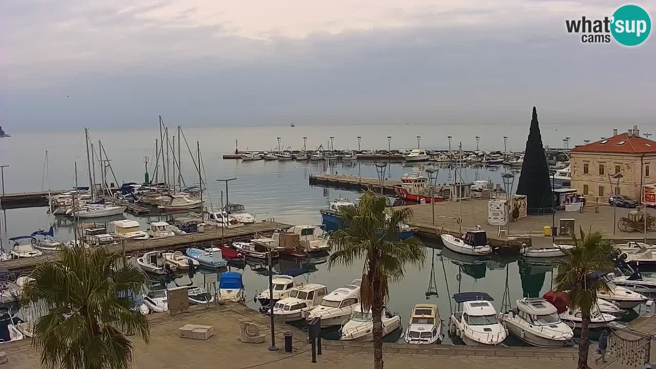 Webcam Koper – Panorama of the marina and promenade from the Grand Hotel Koper