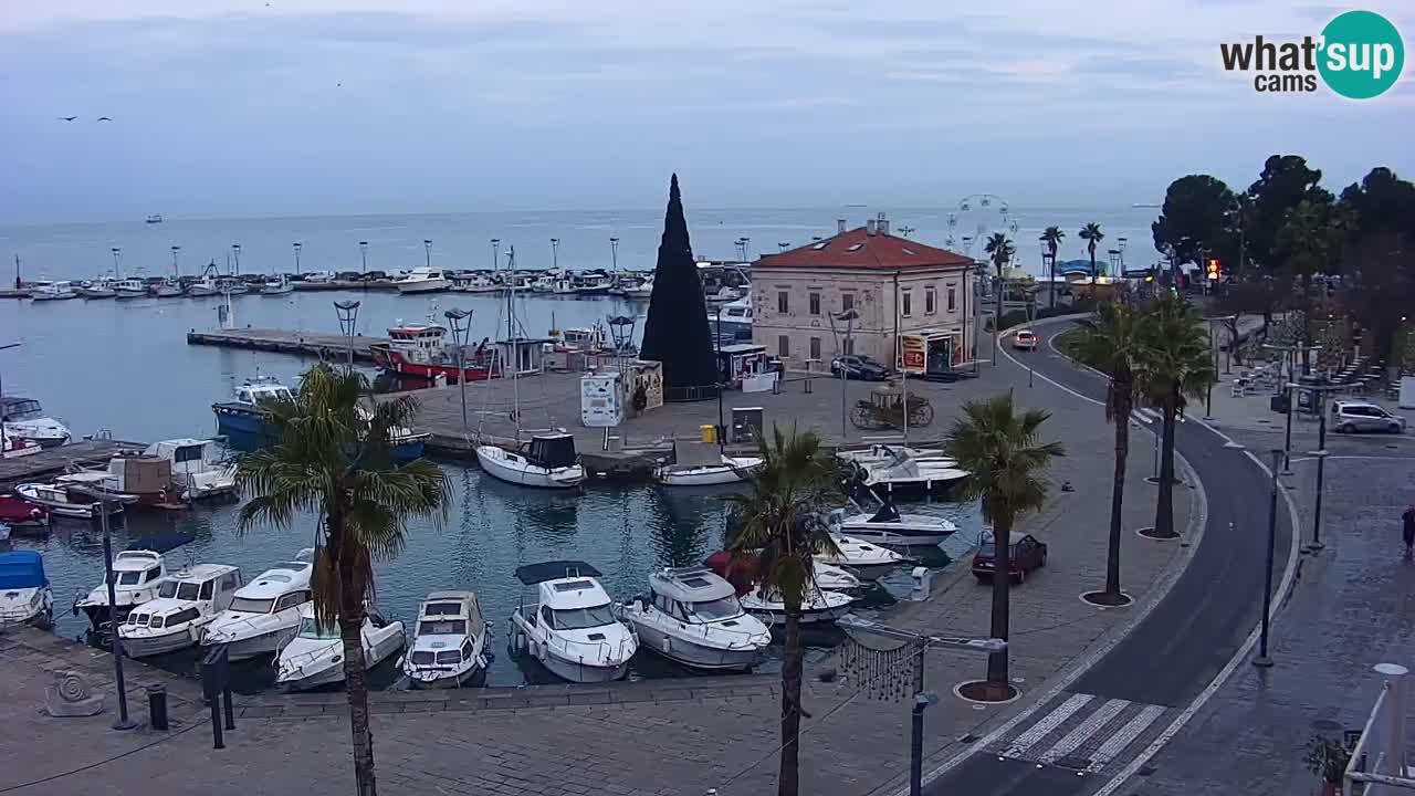 Spletna kamera Koper – Panorama na marino in promenado s Hotela Grand Koper