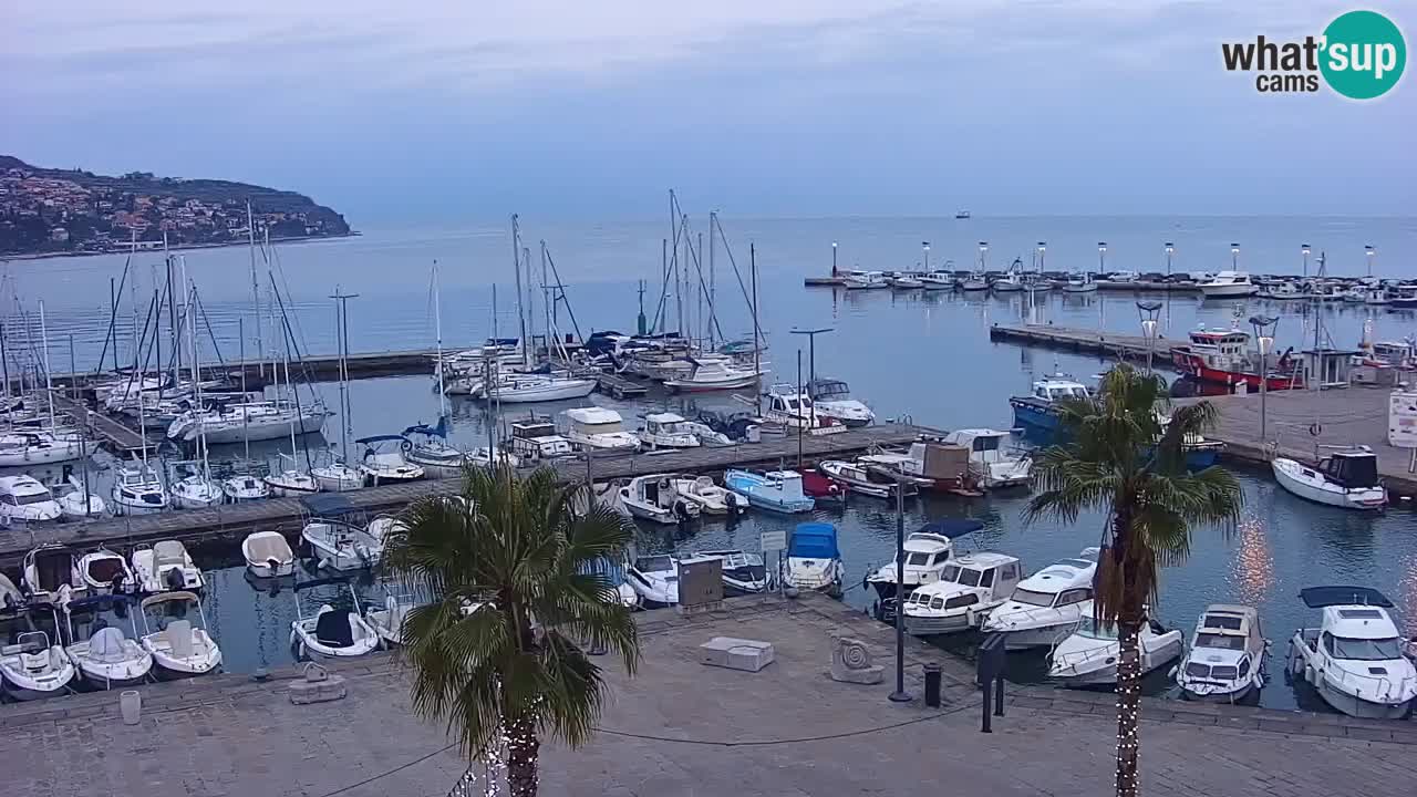 Spletna kamera Koper – Panorama na marino in promenado s Hotela Grand Koper