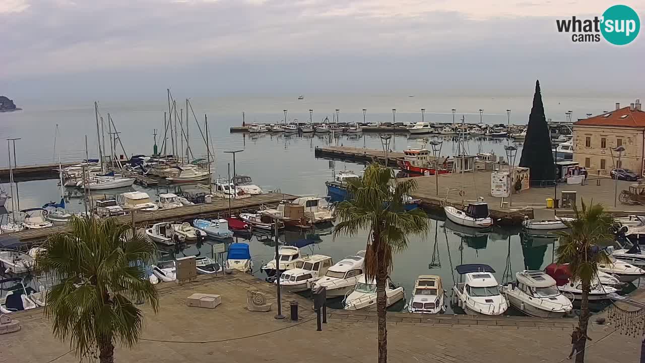 Camera en vivo Koper – puerto deportivo y paseo marítimo desde el Hotel Grand Koper