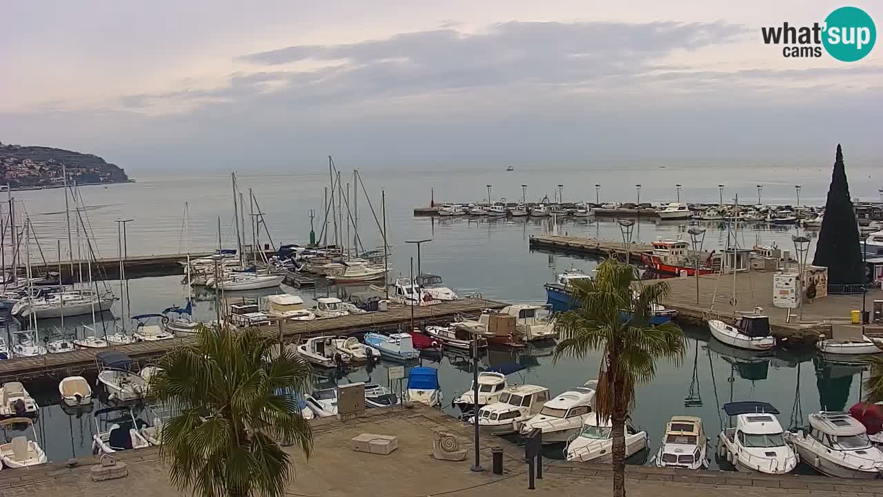 Camera en vivo Koper – puerto deportivo y paseo marítimo desde el Hotel Grand Koper
