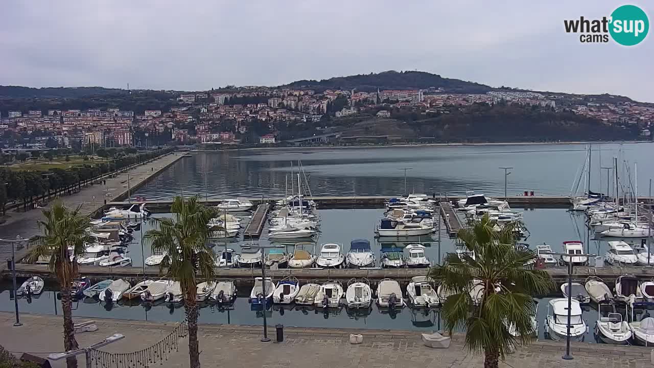 Webcam Koper – Panorama of the marina and promenade from the Grand Hotel Koper