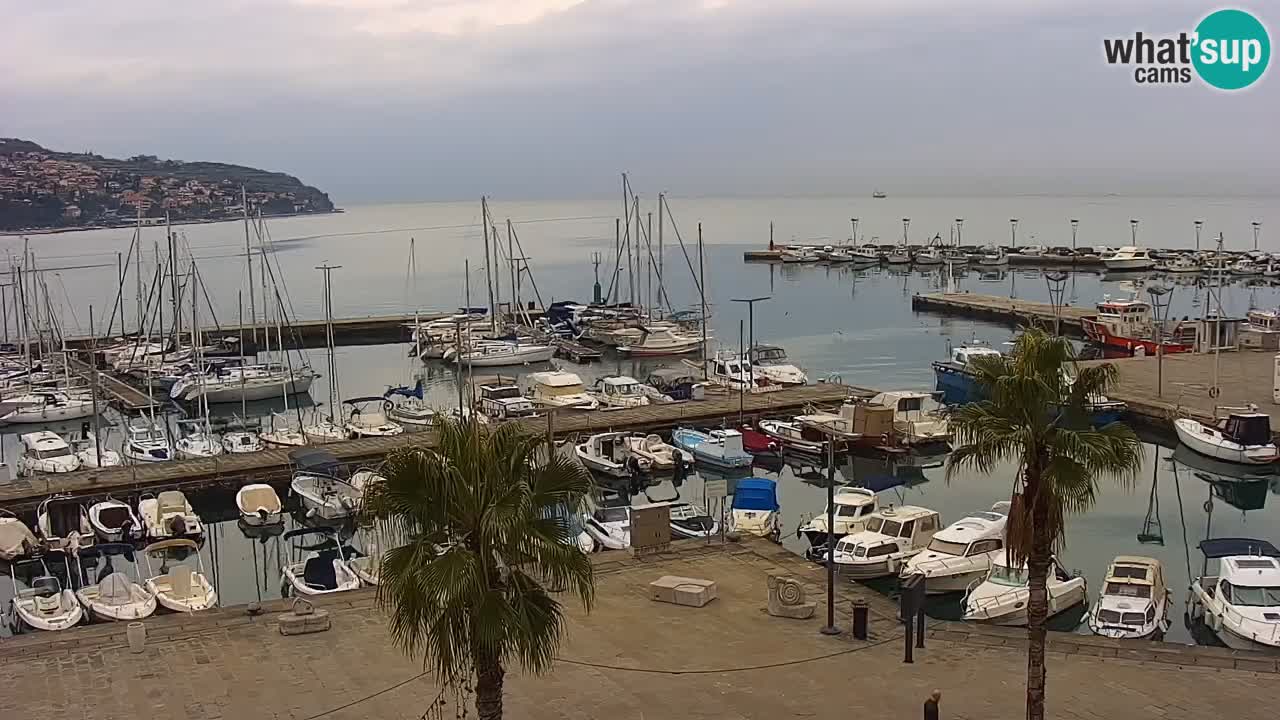 Webcam Koper – Panorama of the marina and promenade from the Grand Hotel Koper